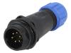 SP1311/P6I