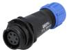 SP1311/S6I
