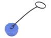 CAP-SP2110II