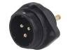 SP2113/P3/2N