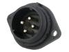 SP2113/P4/2N