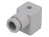 931957106 GDM 2011 GRAU
