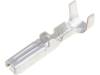282403-1
