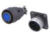 DS1110-06-03LYP