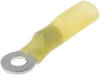 ST-081/Y-T