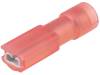 TMDEN 280509-FA