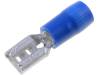TMDV 480520-F