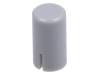 AP22909-GR AP22909-GR