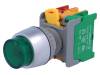 LBL22-1O/C G, W/O LAMP