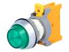 PLN22A G W/0 LAMP