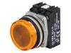 NEF30-LDG 24-230V AC/DC