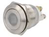 V19-10FD-24Y-S