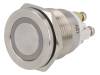 V19-10PFE-12Y-S