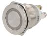 V19-10PFE-24Y-S