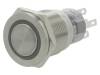 V19-21PFE-12G-S