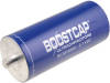 BCAP3000P270K04