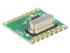 RFM219SW-868S1