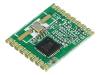 RFM65W-433S2