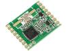 RFM69HW-433S2