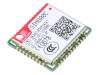 SIM800C24-BT SIM800C24-BT