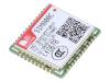 SIM800C32-BT SIM800C32-BT