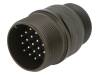 DS3101A22-14P
