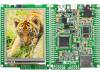 MIKROMEDIA FOR PIC32