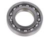 16005 SKF