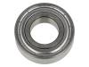 6004-2Z SKF