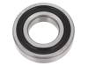 6007-2RS1 SKF