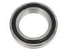 6010-2RS1 SKF