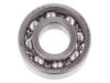 6203 SKF