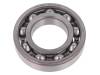6208 SKF