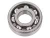 6305 SKF