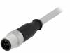 21348400882075