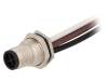 M12S-04PMMS-SF8B15