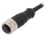 PXPPVC12FBF04DCL010PVC