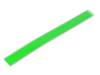 0100 INT EXTREME GREEN