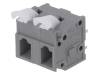 DG242V-7.62-02P-11-00AH