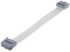 FLAT CABLE 1