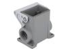 TMAP 06 L25