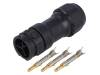 CC-03BMMA-QL8LPP
