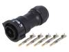 DC-05BFMA-QL8LPP